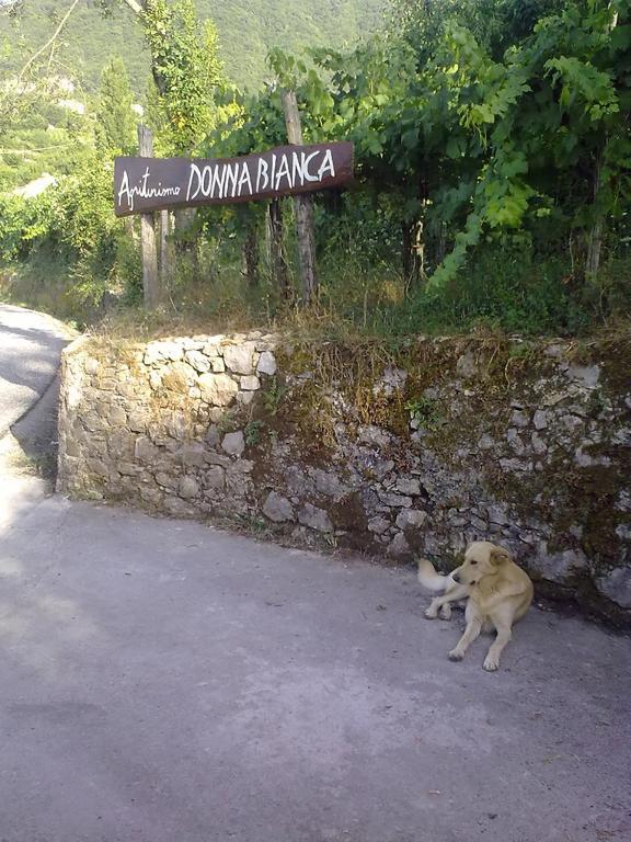 Agriturismo Donna Bianca Mormanno Exterior foto